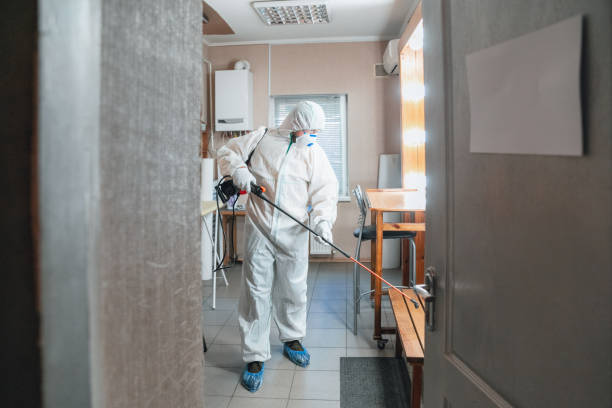 Mold Odor Removal Services in Nome, AK
