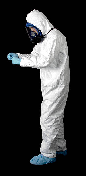 Reliable Nome, AK Mold Removal Solutions