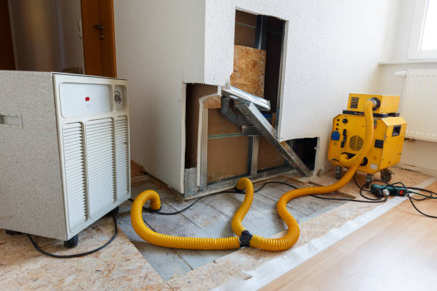 Best Commercial Mold Inspection  in Nome, AK