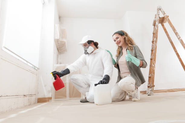 Best Mold Odor Removal Services  in Nome, AK